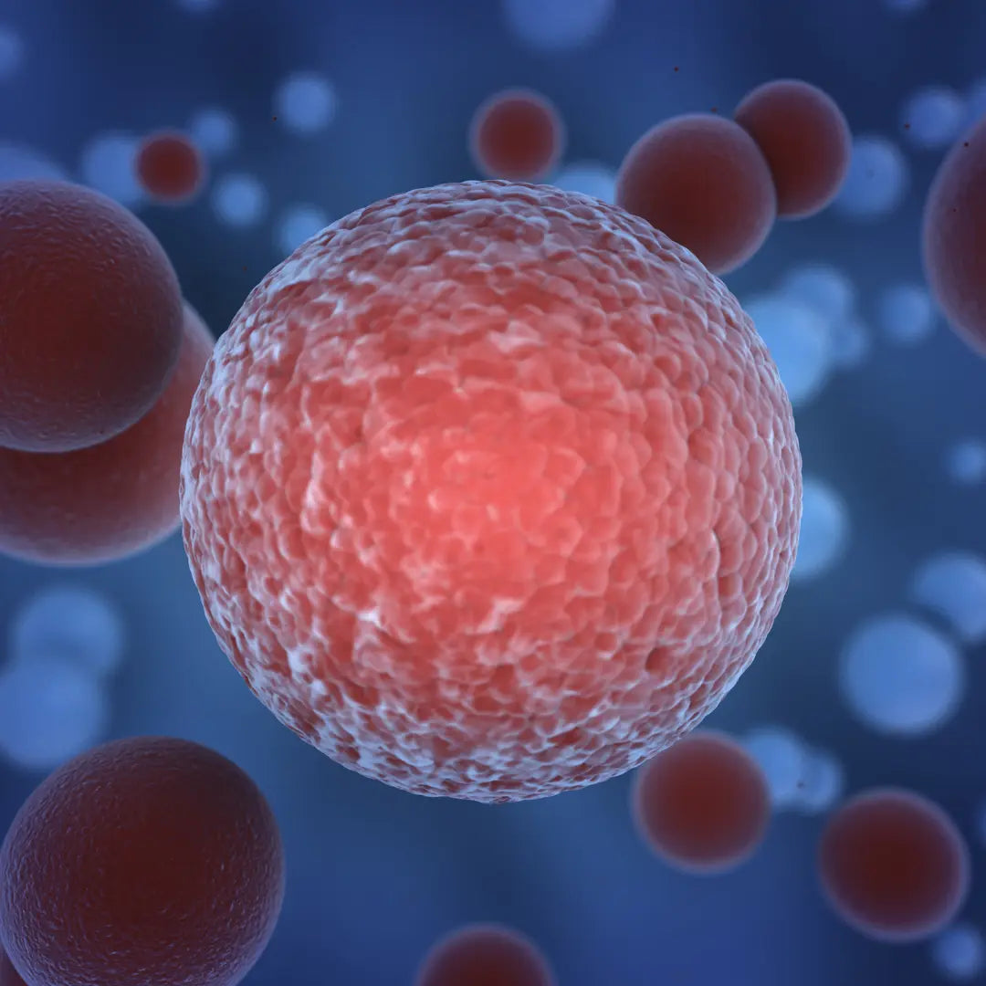 DNA page Cancer Risk
