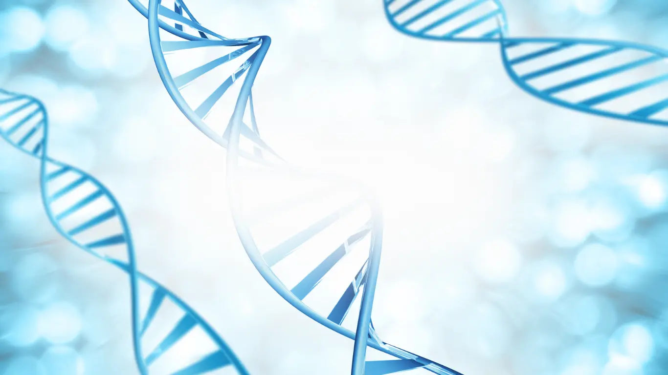 HomePage for DNA