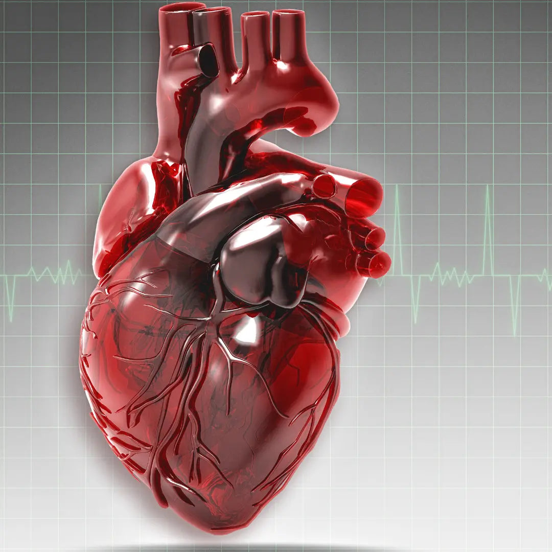 Heart Health